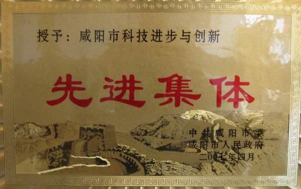 咸陽(yáng)市科技進(jìn)步與創(chuàng  )新先進(jìn)集體